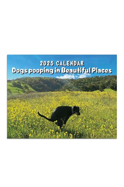 Choice White 2025 Funny Dogs Pooping Calendar Daily Weekly Monthly Planner Creative Wall Calendar Funny Des