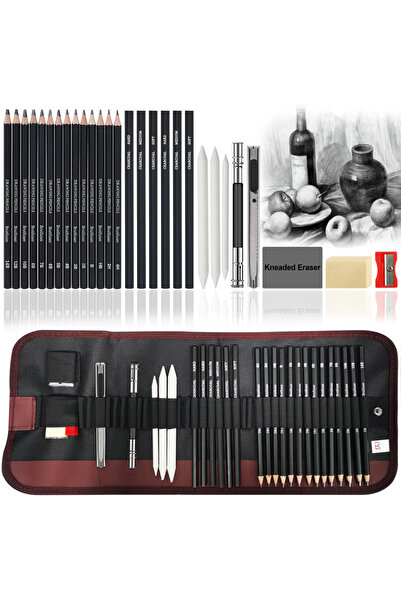 Choice مجموعة أقلام رسم مكونة من 29 قطعة، ستارة أقلام محمولة - أقلام فحم، أقلام رسم