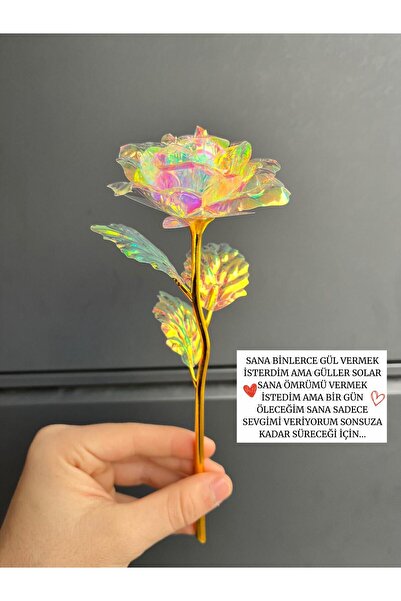 Sepetten Eve Sonsuzluk Gülü Hediyelik Gül - Ev Dekor - Sevgiliye Hediye-Solmayan Gül 14 ŞUBAT SEVGİLİLER GÜNÜ