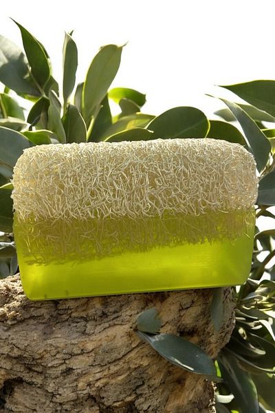 EM AMANOS BEAUTY Natural Pumpkin Fiber Olive Oil Soap Rich Antioxidant Content Supports Skin Regeneration