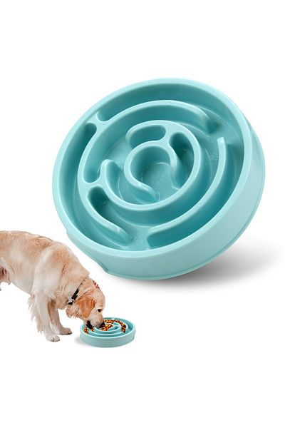 Choice Macaron Blue Pet Dog Slow Feeder Bowl Fun Non Slip Anti-gulping Slower Food Feeding Dishes Eco Dog B