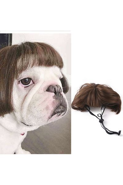 Choice B Pet Wigs Cosplay Props Dog Cat Cross-dressing Hair Set Photography Funny Props Head Accessories P.