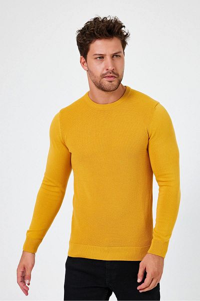 ALEXANDERGARDI Cycling Neck Regular Fit Sweater (E24-Eze-03)