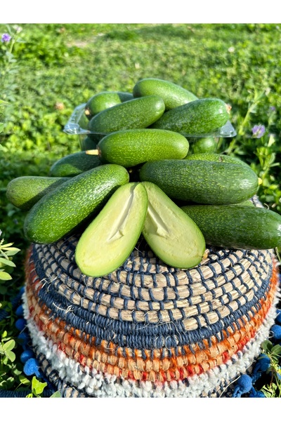 BRF Bebek Avokado 1kg (Parmak Avokado)