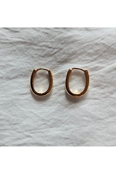 shesra Gold Plated Ellipse Steel Earrings