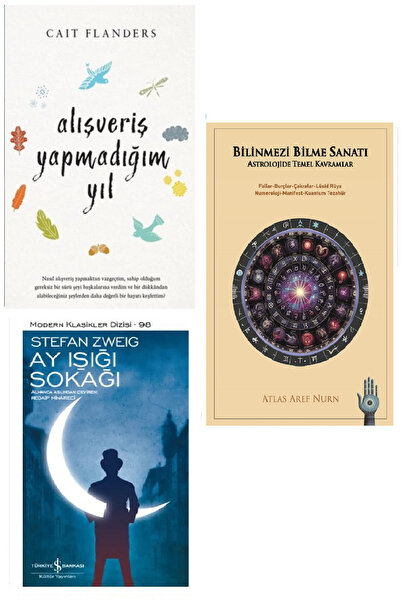 puslurotalar Alışveriş Yapmadığım Yıl - Cait Flanders (Koleksiyon Kitap) + St...