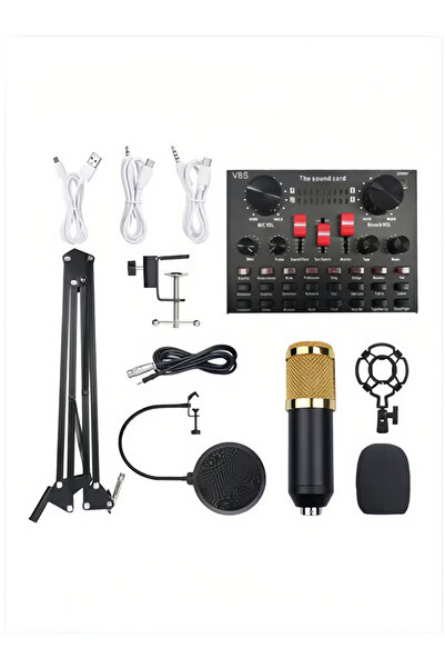 Arabest مجموعة بطاقة صوت احترافية وميكروفون محمول مع حامل، بطاقة صوت حية متعددة الألوان