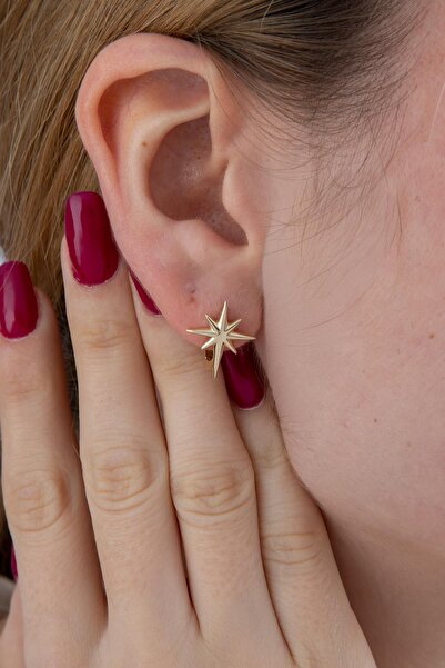 Fiyonk Kuyumculuk 14 Ayar Altın Kuzey Yıldızı Kadın Altın Küpe