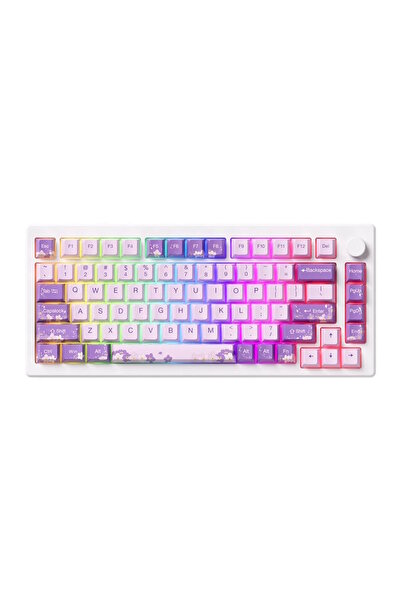 AKKO MOD 007 HE PC Purple Melody Hall Effect RGB Mekanik Gaming Klavye