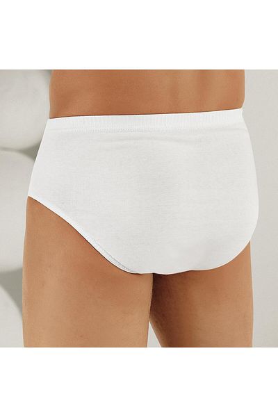 Şahinler E009 6 Pack Men's 100% Cotton White Slip Panties