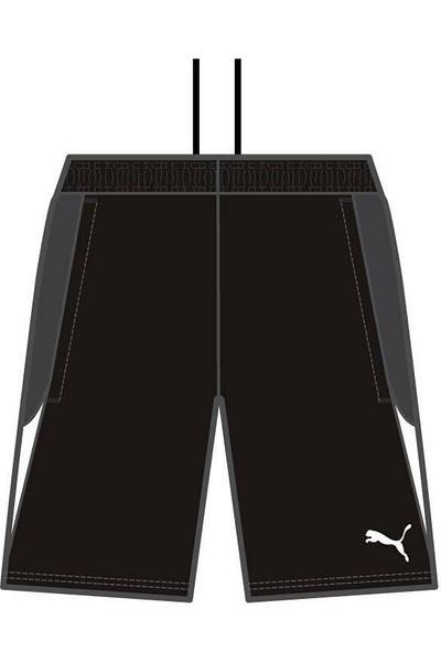 Puma Individualliga Training Shorts 2 (Open P