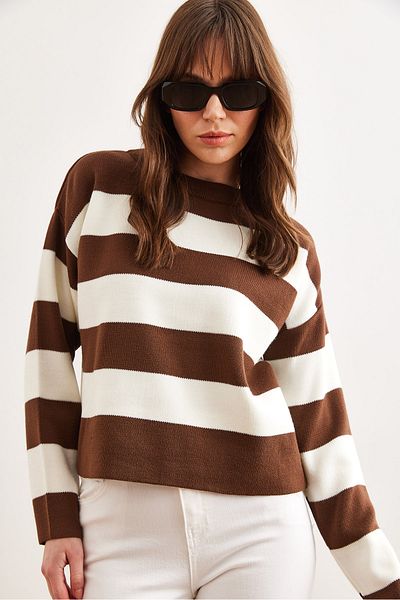 Olalook Brown Striped Crew Neck Knitwear Women's Sweater - Kzk- 19000932