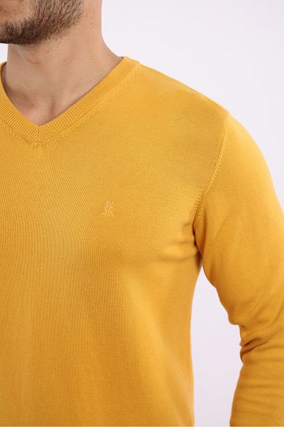 rugatchi 100% Cotton Non-Pilling Standard Fit Regular Cut V-Neck Knitwear Sweater