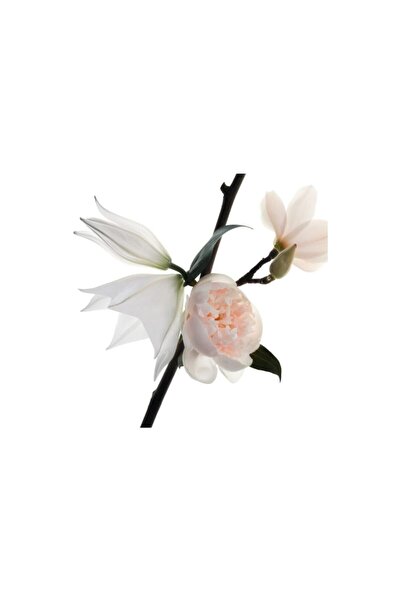 Yves Saint Laurent Mon Paris Floral Eau de Parfum 90ml 3614272491359