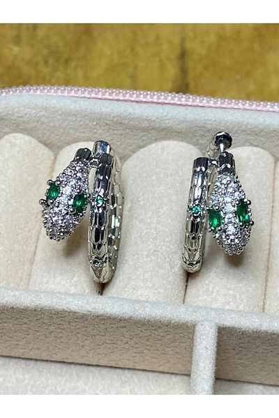 JOJ ACCESUARES Snake Figured Steel Earrings