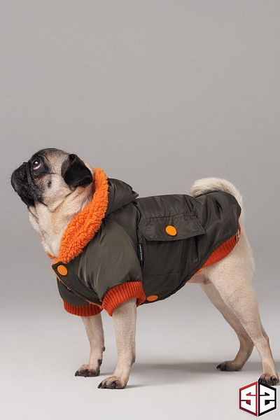 salya store Forest Design Waterproof Dog Coat - Raincoat and Clothing