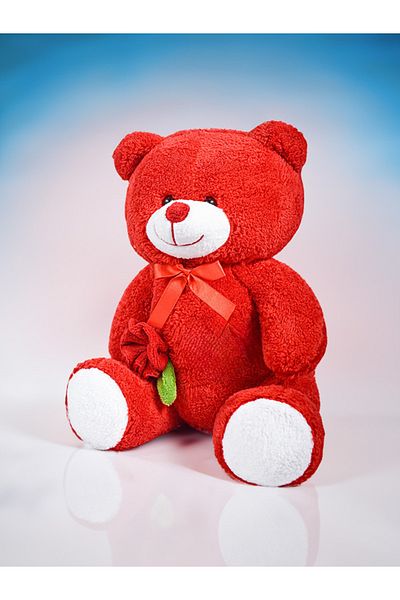 Princess Bear 75 Sm Network Plush Love Bear - Red Product and Rose Detailed Toy
