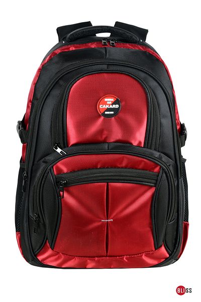 Bliss Red Unisex School Backpack with Laptop Compartment and Orthopedic Back Support
