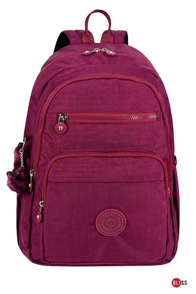 Bliss Claret Red Unisex Daily & Primary & High School Backpack Crinkle Fabric Backpack with Laptop Compartment