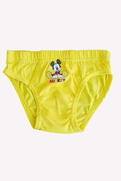Disney Erkek Çocuk 3 Adet Slip Külot Mickey Mouse Lisanslı