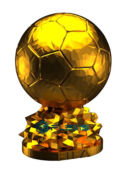 FLEXIS WE MAKE IT POSSIBLE FOR YOU İSMİNİZE ÖZEL FIFA BALLON D'OR MAKETİ GOLD...