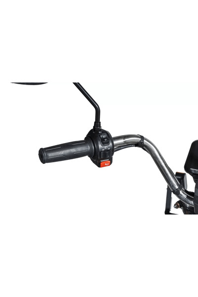 zlin Feniks 3 Tekerlekli Yük Elektrikli Bisikleti 2025 Model