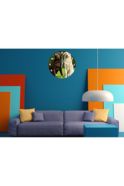 Ti Play Tİ-PLAY LABRADOR 30X30CM CEAS DE PERETE MODERN DECORATIV ACRILIC