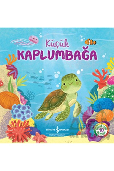 TÜRKİYE İŞ BANKASI KÜLTÜR YAYINLARI Küçük Kaplumbağa