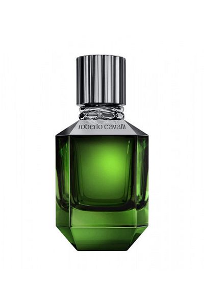 Roberto Cavalli Roberto Cavalli Paradise Found for Men Eau de Toilette 75 ml