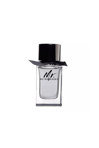 BRONZENET Burberry Mr. Burberry for Men Eau de Toilette 100ml
