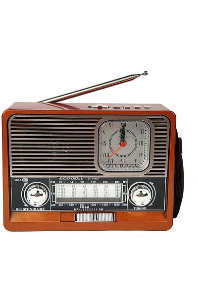 Generic Bluetooth Portable Radio