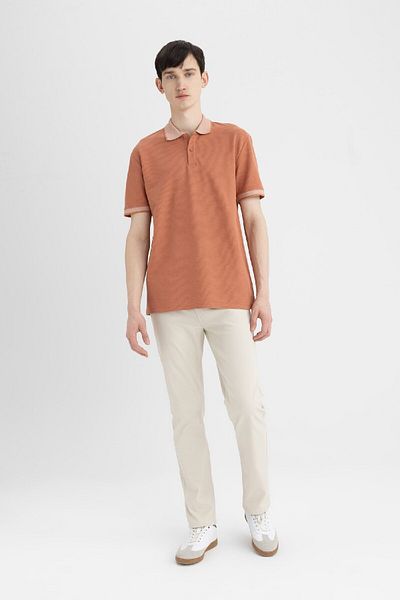DeFacto Neues Basic-Polo-T-Shirt mit normaler Passform und kurzen Ärmeln B4508ax24sp