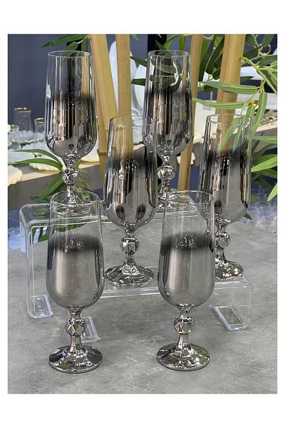 Doğudeko Czechoslavia Crystal 6-Piece Titanium Silver Coffee Glass