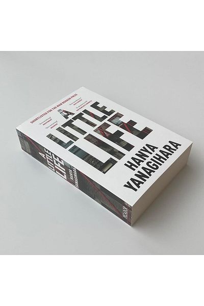 Picador A Little Life