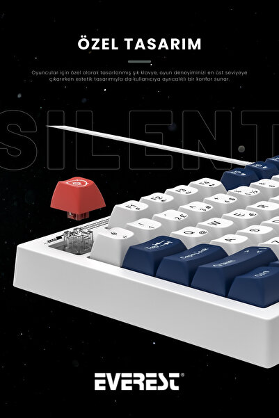 Everest KB-98 Sessiz Rainbow Q Türkçe Klavye Membrane Oyuncu Klavyesi Gaming Klavye