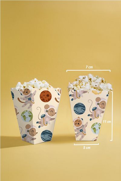 Niksy Design Boho Space Themed Mini Corn Box 8 Pieces