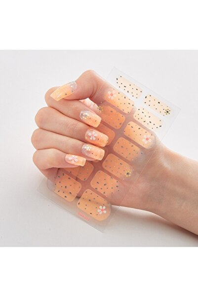 DeftHike Kolay Uygulanabilir Kendinden Yapışkanlı Suya Dış etkenlere Dayanıkl...