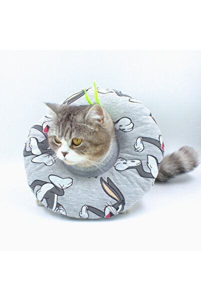 Lepus Kedi ve Köpek Boyunluk Elizabeth Yakalık Operasyon Boyunluk