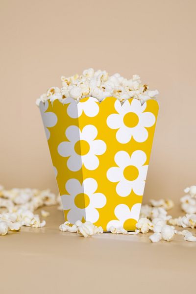Niksy Design Daisy Themed Mini Corn Box 8 Pieces