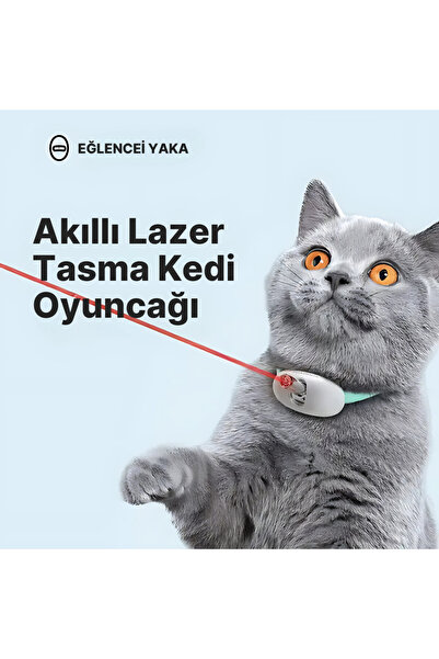 AYGÖREN HOME Akıllı Lazer Tasma Kedi Oyuncağı eğitici kedi egzersiz oyuncağı ...