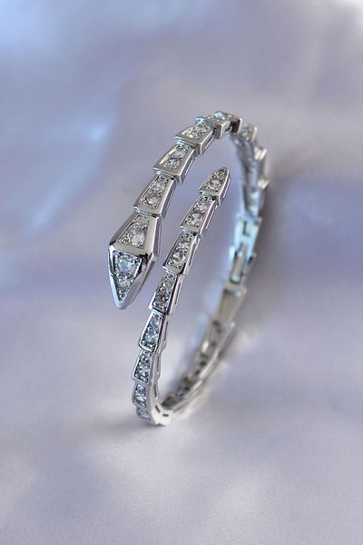 Skygo VIP Series Snake Model Silver Color Women's Handcuff Bracelet - TJ-BB5488