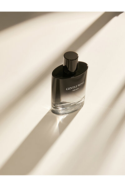 Koton Parfüm Gentle Wind 100 ML