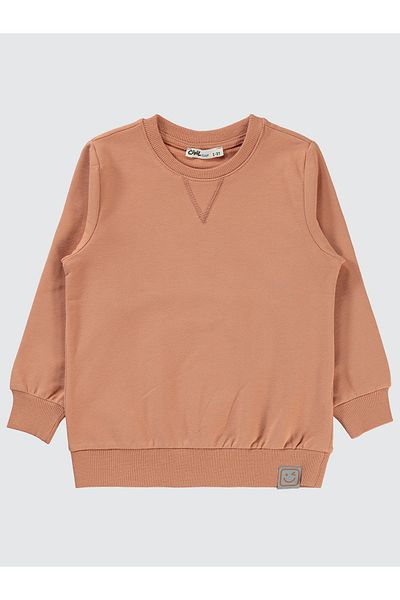 Civil Boys 2-5 Years Old Boy Brick Color Sweatshirt