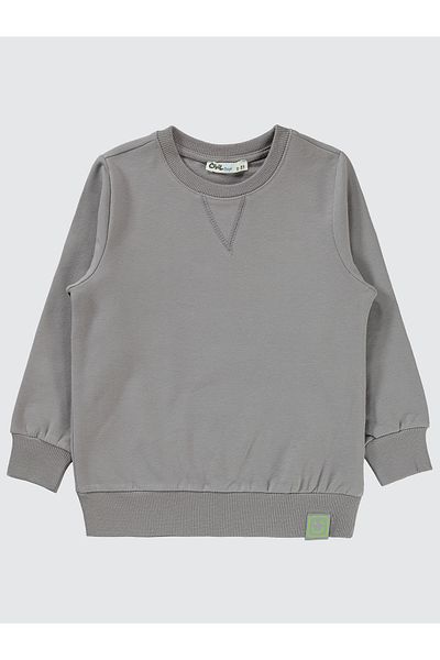 Civil Boys Gray Boy's Sweatshirt - 2-5 Years