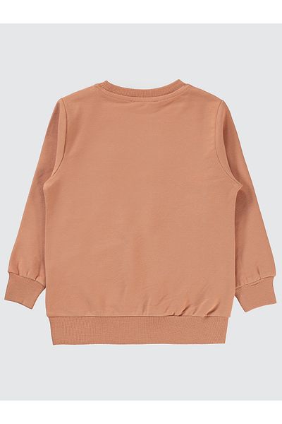 Civil Boys 2-5 Years Old Boy Brick Color Sweatshirt