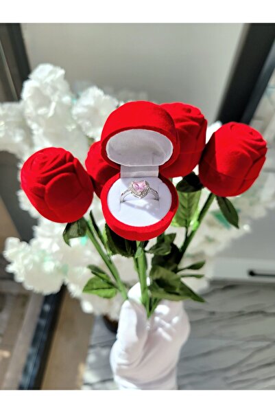 Evorya Kadife Gül İçinden Çıkan 14 Ayar Kalpli Ciddi İlişki Yüzüğü