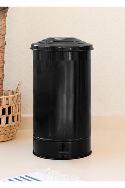 The Mia Coș de gunoi de bucătărie Stripe Negru 24 Lt