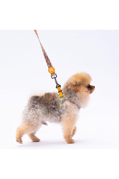Pawstar Pizza Leash & Air-Mesh Cat Dog Leash and Walking Strap Set Leash Set