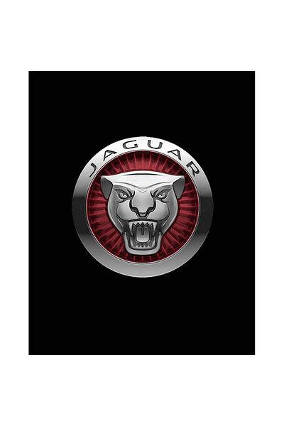 Z zepplin Jaguar Color Logo Patch mare pe spate