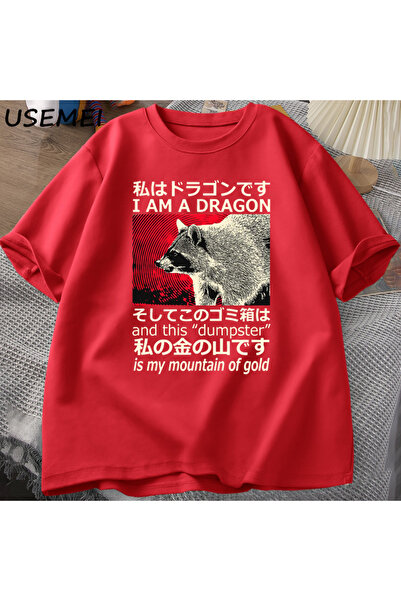 Drippy Majica Dragon Raccoon Japanski stil Pamuk kratkih rukava Retro Harajuk...